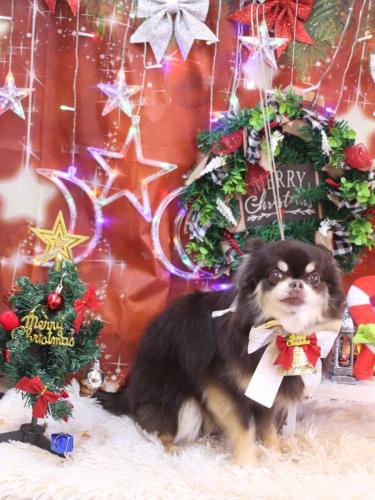 20231221フェルくん